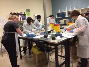 medical laboratory assistant/technician students, laboratory tests