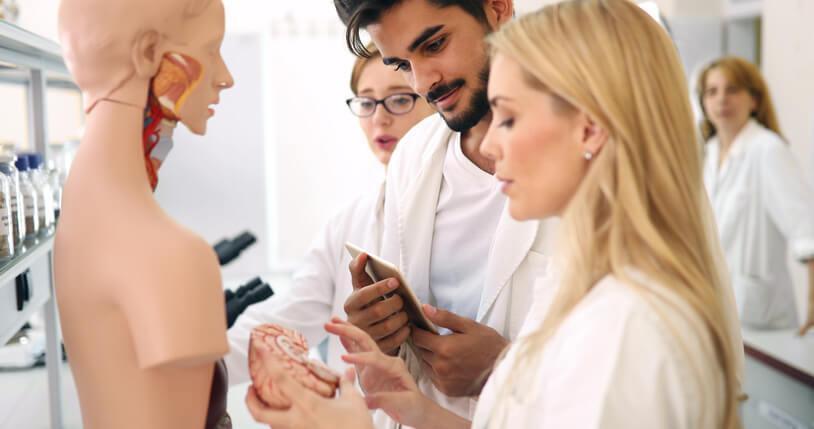 A group of students examining an anatomical model in a medical esthetician training program